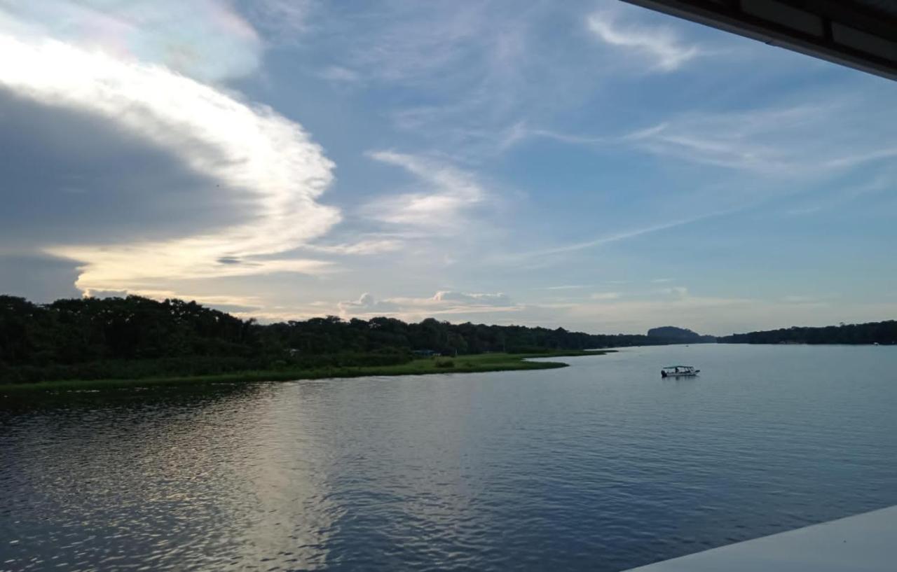 Hotel Pura Natura Riverside Tortuguero Exterior foto